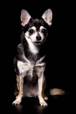 20150228-truffles-001